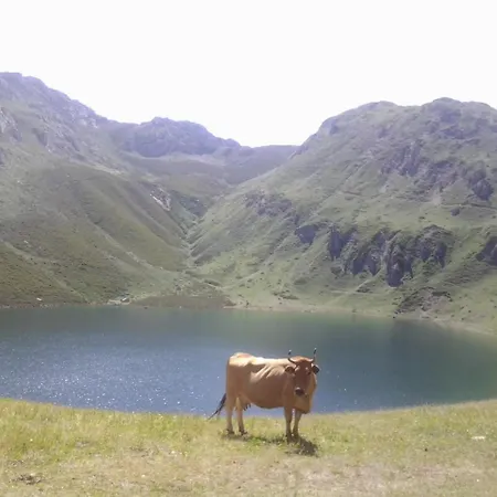 Gospodarstwo wiejskie Casas Rurales La Laguna *